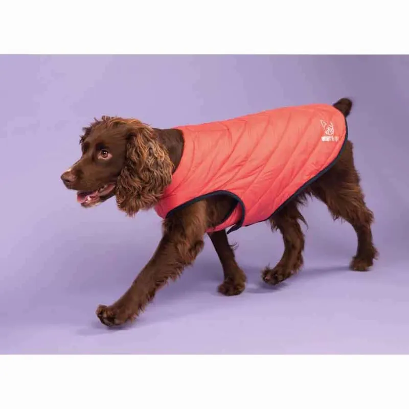 Digby and Fox Padded Dog Rug Coat - Coral 